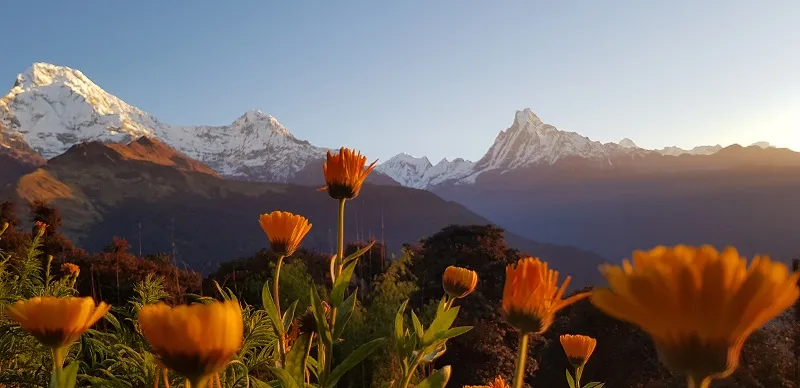 Khopra Danda Trek-10 Days - Photo 3